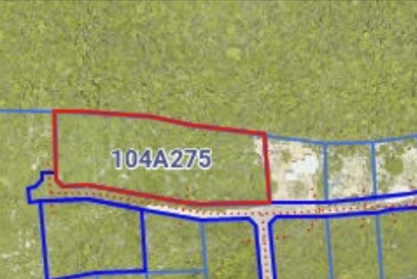 Bluff Land Opportunity